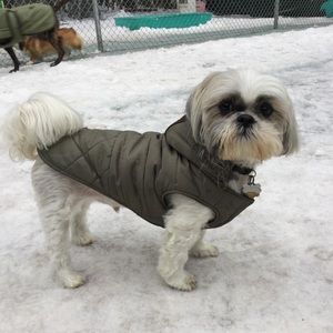 Meet your Posher, Ariana